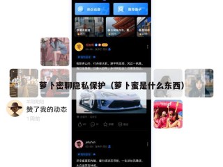萝卜密聊隐私保护（萝卜蜜是什么东西）
