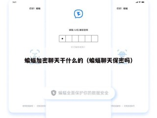 蝙蝠加密聊天干什么的（蝙蝠聊天保密吗）
