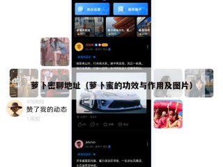 萝卜密聊地址（萝卜蜜的功效与作用及图片）
