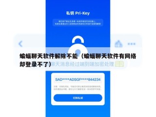 蝙蝠聊天软件解除不能（蝙蝠聊天软件有网络却登录不了）