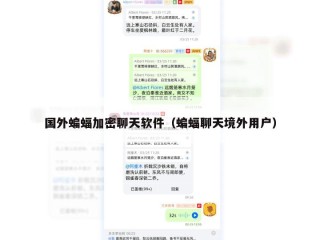 国外蝙蝠加密聊天软件（蝙蝠聊天境外用户）