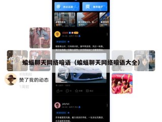 蝙蝠聊天网络暗语（蝙蝠聊天网络暗语大全）