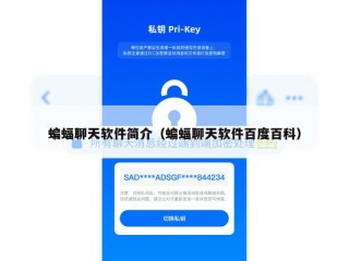 蝙蝠聊天软件简介（蝙蝠聊天软件百度百科）