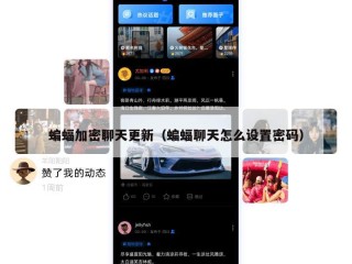 蝙蝠加密聊天更新（蝙蝠聊天怎么设置密码）