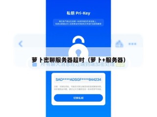 萝卜密聊服务器超时（萝卜+服务器）