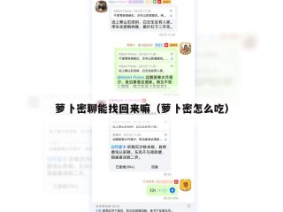 萝卜密聊能找回来嘛（萝卜密怎么吃）