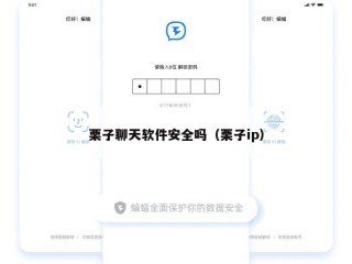栗子聊天软件安全吗（栗子ip）
