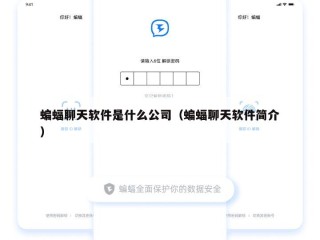 蝙蝠聊天软件是什么公司（蝙蝠聊天软件简介）