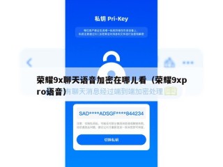 荣耀9x聊天语音加密在哪儿看（荣耀9xpro语音）