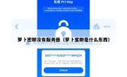 萝卜密聊没有服务器（萝卜蜜聊是什么东西）