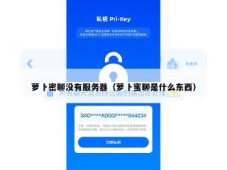 萝卜密聊没有服务器（萝卜蜜聊是什么东西）