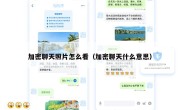 加密聊天照片怎么看（加密聊天什么意思）