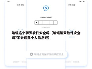 蝙蝠这个聊天软件安全吗（蝙蝠聊天软件安全吗?不会透露个人信息吧）