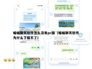 蝙蝠聊天软件怎么没有pc版（蝙蝠聊天软件为什么下载不了）