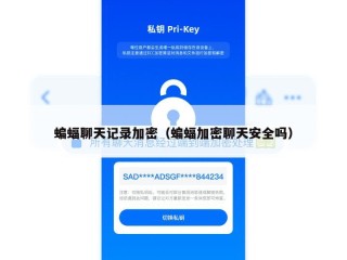 蝙蝠聊天记录加密（蝙蝠加密聊天安全吗）