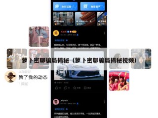 萝卜密聊骗局揭秘（萝卜密聊骗局揭秘视频）