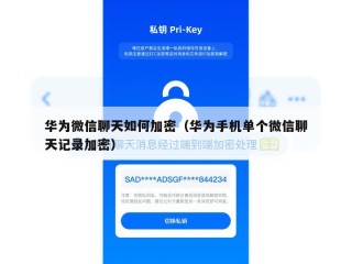 华为微信聊天如何加密（华为手机单个微信聊天记录加密）