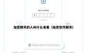 加密聊天的人叫什么来着（加密软件聊天）