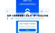 在萝卜密聊里被骗了怎么办（萝卜密怎么开启）