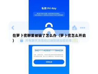在萝卜密聊里被骗了怎么办（萝卜密怎么开启）