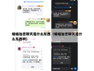 蝙蝠加密聊天是什么东西（蝙蝠加密聊天是什么东西啊）