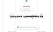 密探加密聊天（密探软件是干什么的）