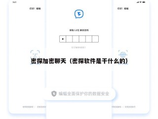 密探加密聊天（密探软件是干什么的）