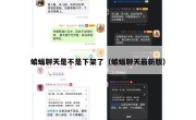 蝙蝠聊天是不是下架了（蝙蝠聊天最新版）