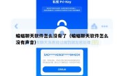 蝙蝠聊天软件怎么没有了（蝙蝠聊天软件怎么没有声音）