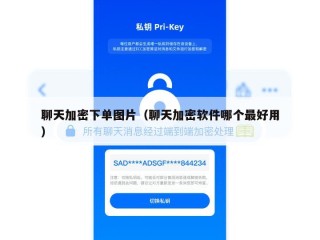 聊天加密下单图片（聊天加密软件哪个最好用）