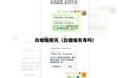 白蝙蝠聊天（白蝙蝠有毒吗）