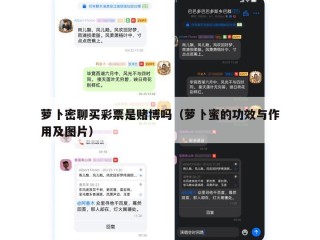 萝卜密聊买彩票是赌博吗（萝卜蜜的功效与作用及图片）