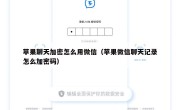 苹果聊天加密怎么用微信（苹果微信聊天记录怎么加密码）
