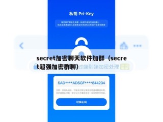 secret加密聊天软件加群（secret超强加密群聊）