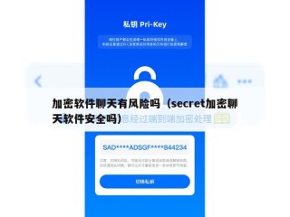 加密软件聊天有风险吗（secret加密聊天软件安全吗）