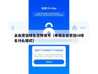 企业密信域名怎样填写（申请企业密信id域名什么格式）