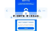 萝卜密聊宁夏（萝卜密怎么吃）