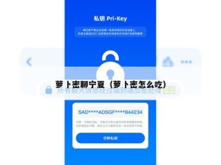 萝卜密聊宁夏（萝卜密怎么吃）