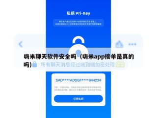 嗨米聊天软件安全吗（嗨米app接单是真的吗）