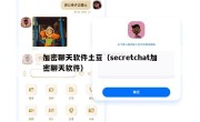 加密聊天软件土豆（secretchat加密聊天软件）