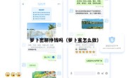 萝卜密聊挣钱吗（萝卜蜜怎么做）