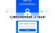 小飞聊天分享软件安全吗（小飞怎么样）