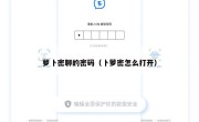 萝卜密聊的密码（卜萝密怎么打开）
