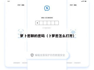 萝卜密聊的密码（卜萝密怎么打开）