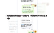 蝙蝠聊天软件会不会封号（蝙蝠聊天软件能用吗）
