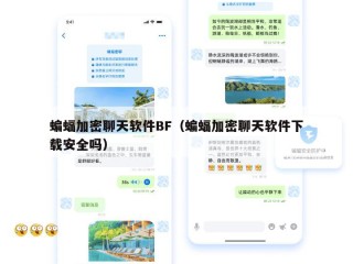 蝙蝠加密聊天软件BF（蝙蝠加密聊天软件下载安全吗）