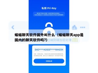 蝙蝠聊天软件国外叫什么（蝙蝠聊天app是国内的聊天软件吗?）
