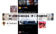 萝卜密聊900国际是啥（萝卜+专业聊天软件）