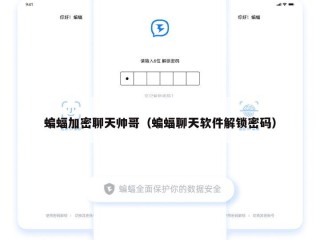 蝙蝠加密聊天帅哥（蝙蝠聊天软件解锁密码）