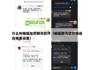 什么叫蝙蝠加密聊天软件（蝙蝠聊天软件暗语在哪里设置）